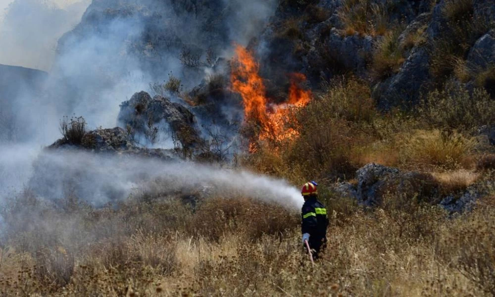 Μεγάλη φωτιά σε δάσος στην Κομοτηνή: Μάχη των Πυροσβεστών για να μην επεκταθεί